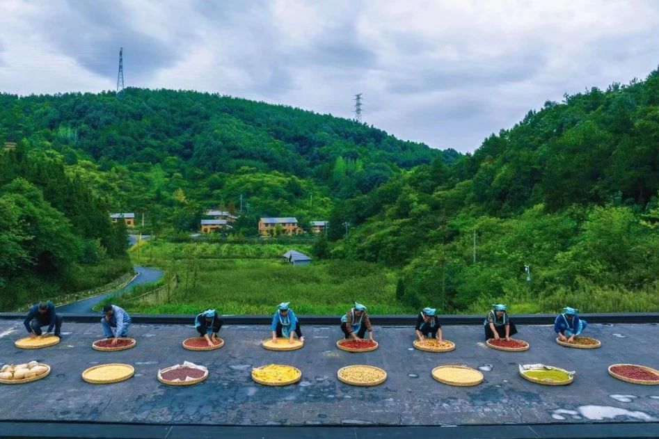 Thats why we must go to Mabian in autumn(图6) Thats why we must go to Mabian in autumn(图6)