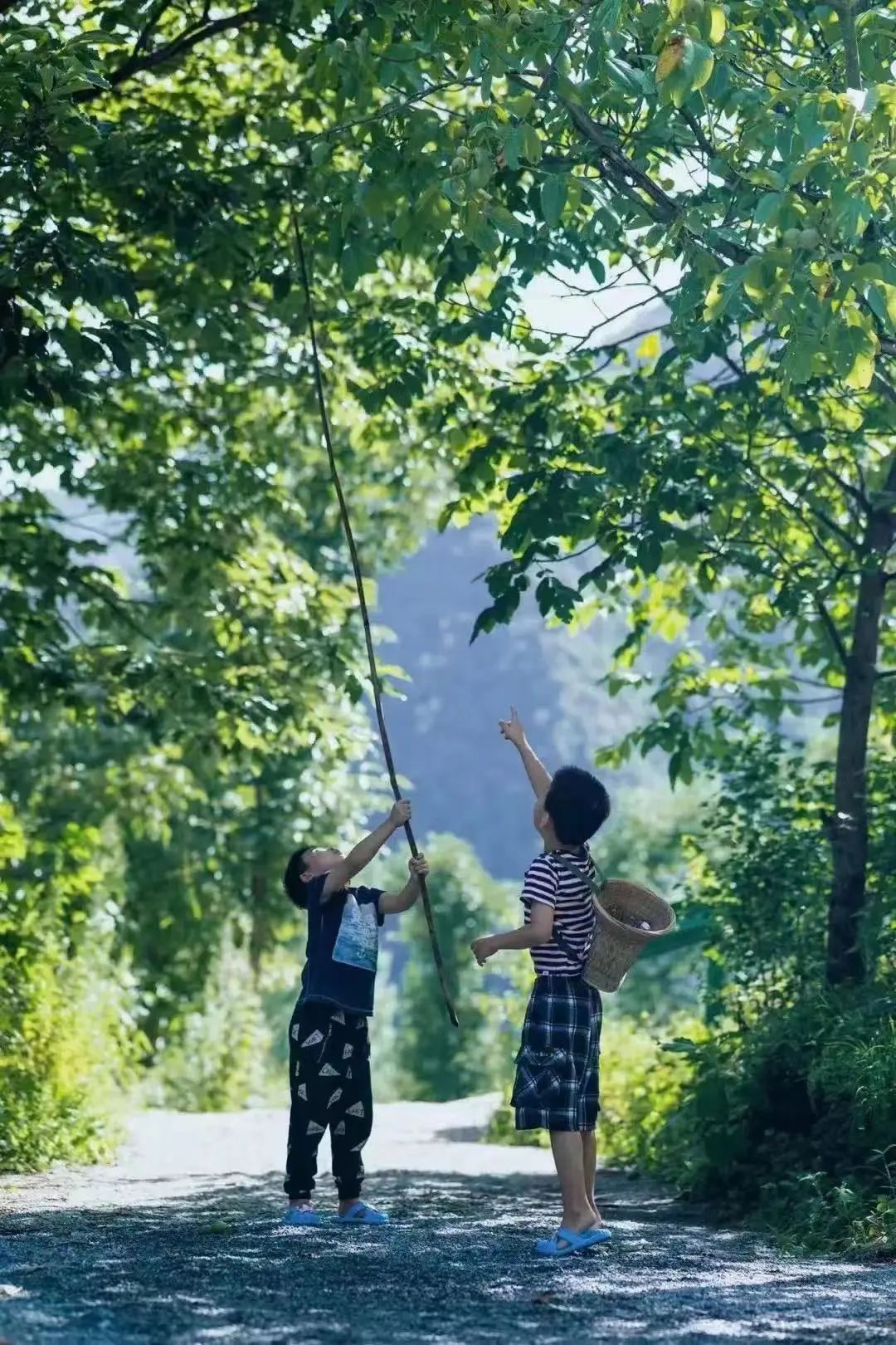 Thats why we must go to Mabian in autumn(图8) Thats why we must go to Mabian in autumn(图8)