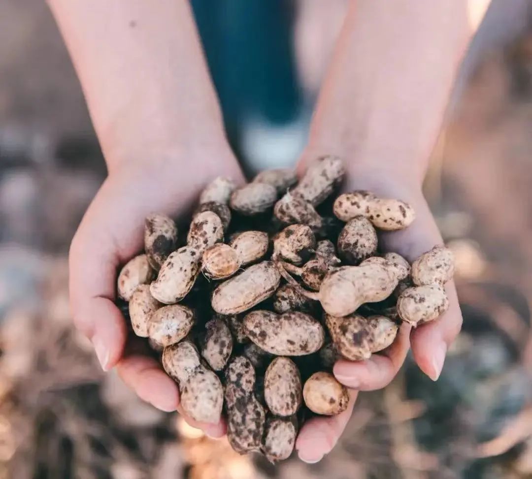 Thats why we must go to Mabian in autumn(图9) Thats why we must go to Mabian in autumn(图9)