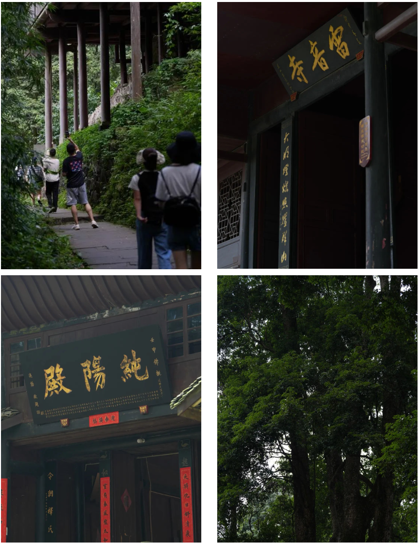 What do you come to Emei to play on Mid Autumn and National Day? You must come and play these routes(图2) What do you come to Emei to play on Mid Autumn and National Day? You must come and play these routes(图2)