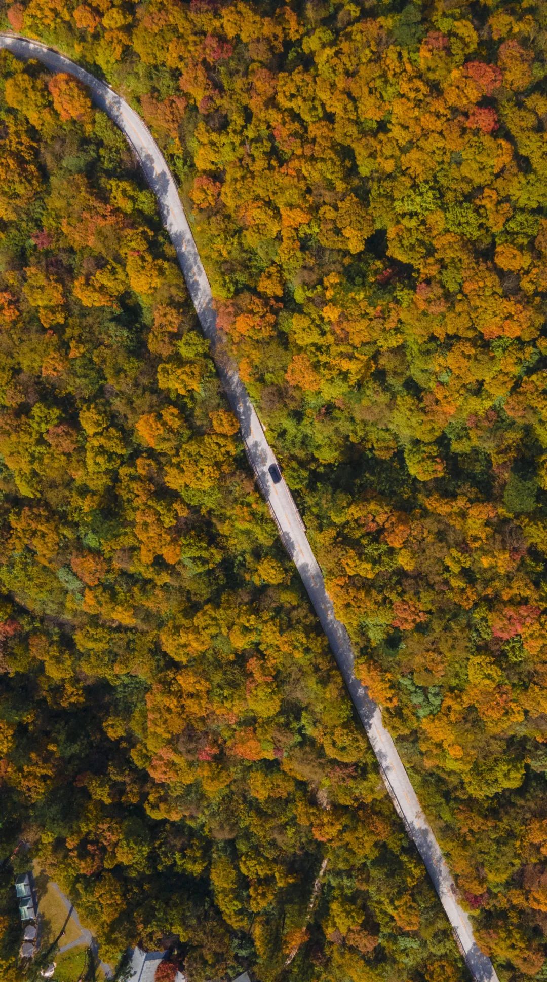 What do you come to Emei to play on Mid Autumn and National Day? You must come and play these routes(图1) What do you come to Emei to play on Mid Autumn and National Day? You must come and play these routes(图1)