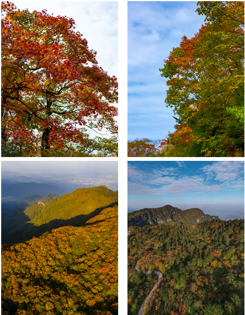 What do you come to Emei to play on Mid Autumn and National Day? You must come and play these routes(图4) What do you come to Emei to play on Mid Autumn and National Day? You must come and play these routes(图4)