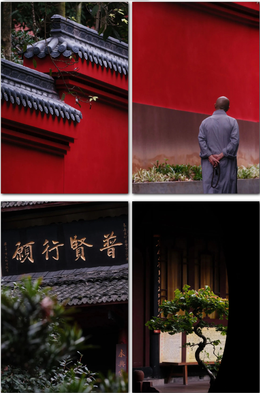 How to visit Mount Emei in autumn? This is the most comfortable way to visit !(图2)