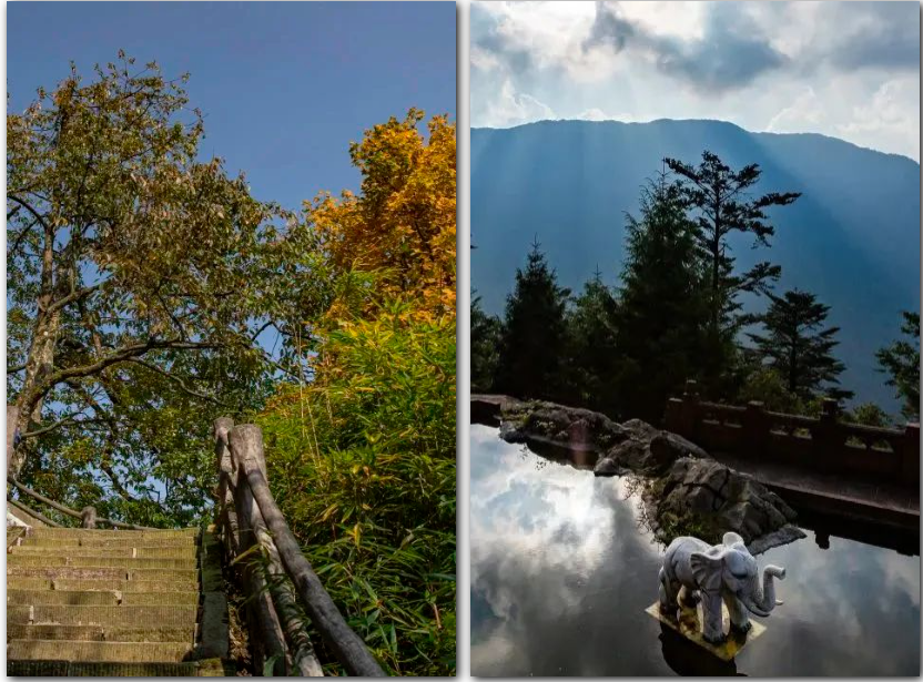 How to visit Mount Emei in autumn? This is the most comfortable way to visit !(图3)