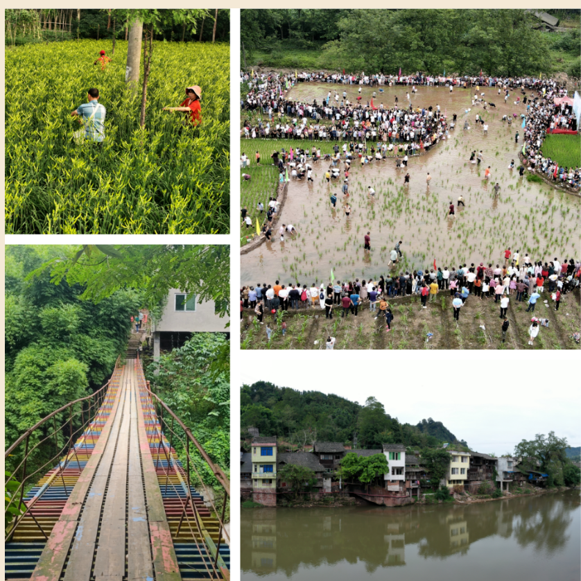 These 7 ancient towns in Leshan are perfect for strolling in autumn!(图8)