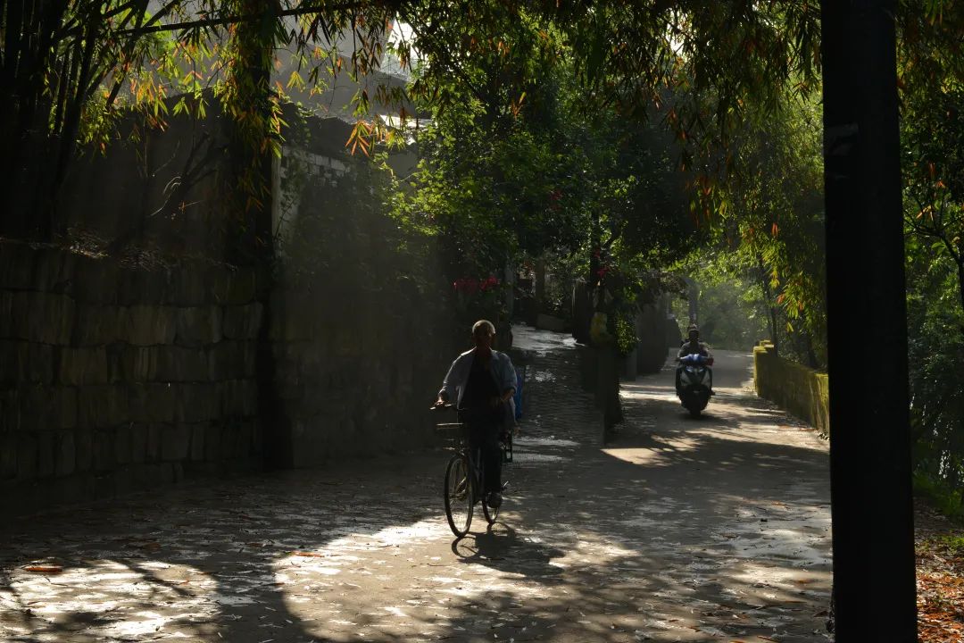 On the sixth day of National Day, lets visit Wutongqiao together(图1) On the sixth day of National Day, lets visit Wutongqiao together(图1)