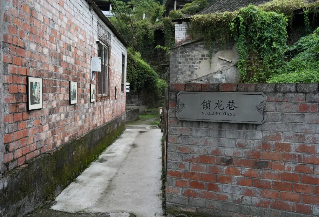 On the sixth day of National Day, lets visit Wutongqiao together(图3) On the sixth day of National Day, lets visit Wutongqiao together(图3)