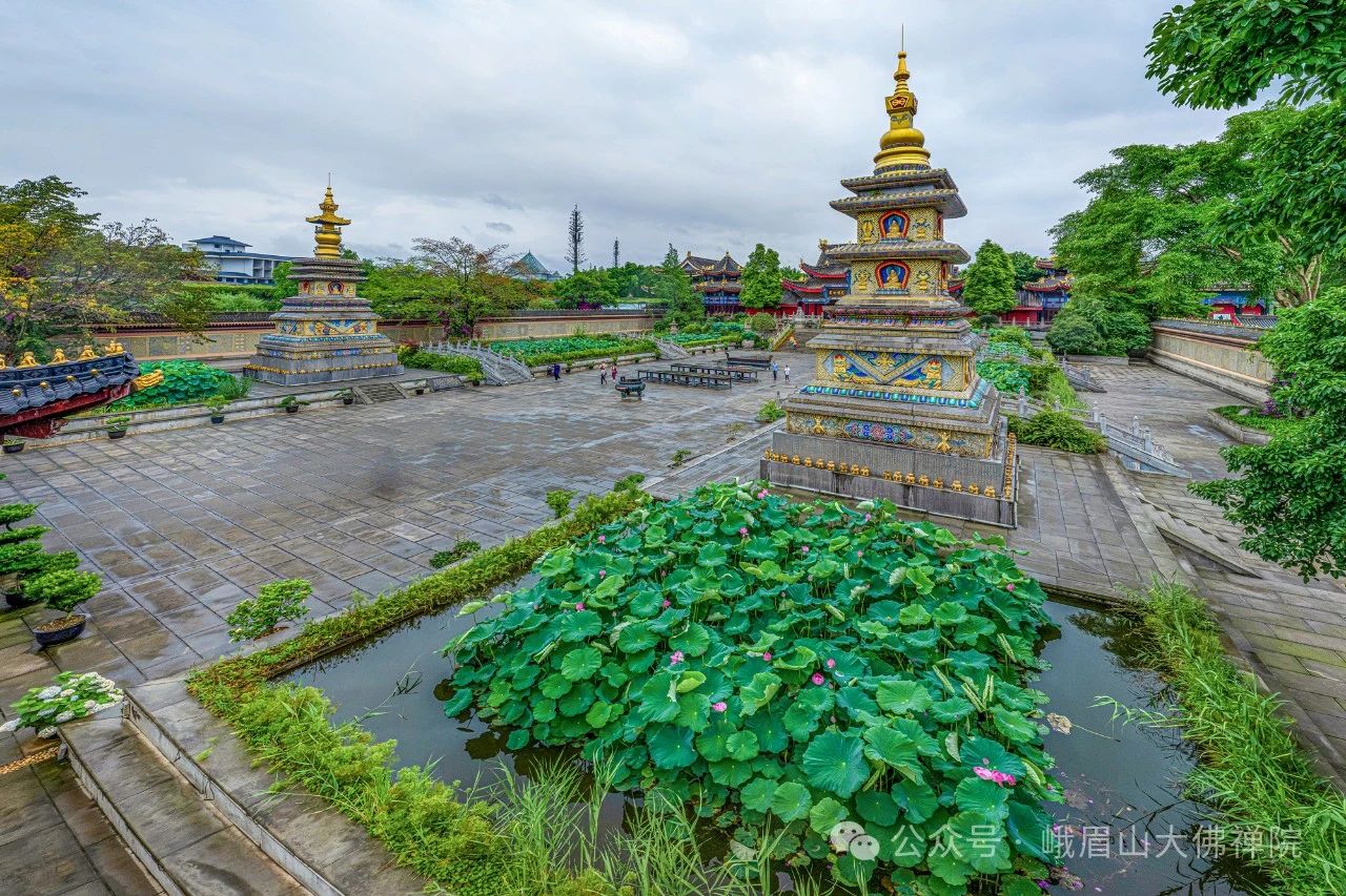 7 great places to enjoy lotus flowers in Leshan in as little as 15 minutes!(图4)
