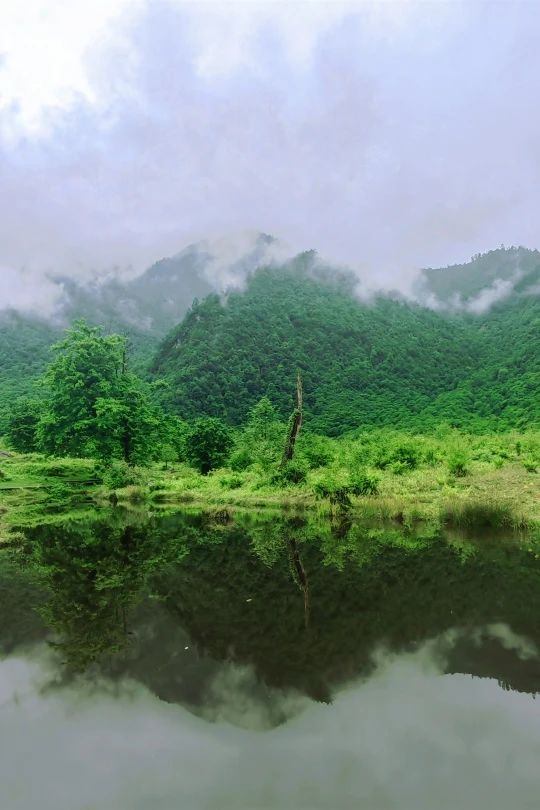 The scenery is absolutely beautiful! Lets go hiking in Leshan, the "Forest Oxygen Bar".(图2)