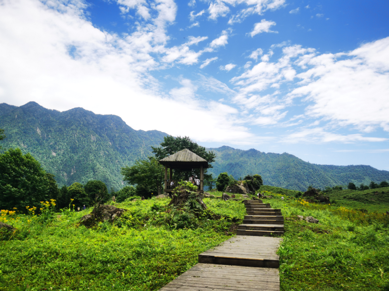 The scenery is absolutely beautiful! Lets go hiking in Leshan, the "Forest Oxygen Bar".(图3)